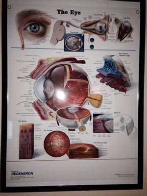 RETINA-VITREOUS ASSOCIATES MEDICAL GROUP - Updated January 2025 - 56 ...