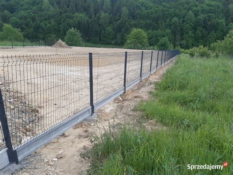 Ogrodzenia Panelowe Kompleksowo Bochnia Sprzedajemy Pl