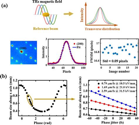 Snapshot Of The Electronthz Timing Jitter By Tracing The Transverse