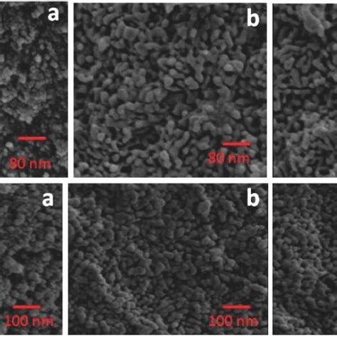 Sem Images Of Mnps Magnetite Maghemite And Hematite Are Represented