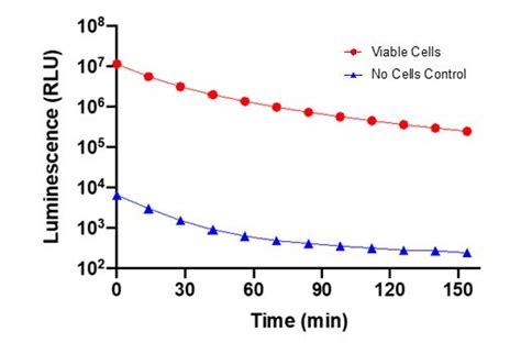 Surelight Glow Firefly Luciferase Cell Viability Assay Columbia