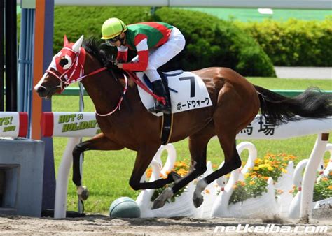 6月28日 狙ってみたい穴馬阪神 穴馬発見de競馬lifeを楽しもう