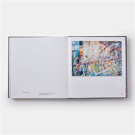 Sarah Sze | Art | Store | Phaidon