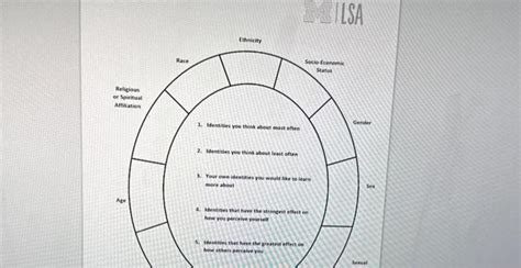 Use The Social Identity Wheel Work Sheet Stepping Chegg