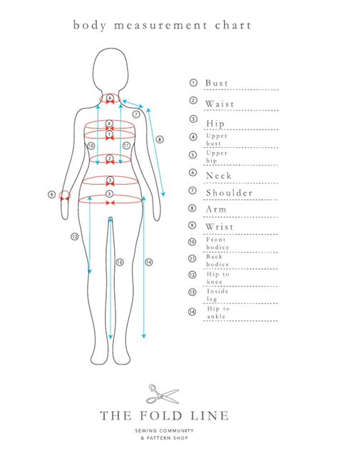 Full Body Measurements | PDF