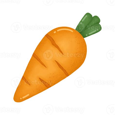 Carrot Cartoon Drawing Png