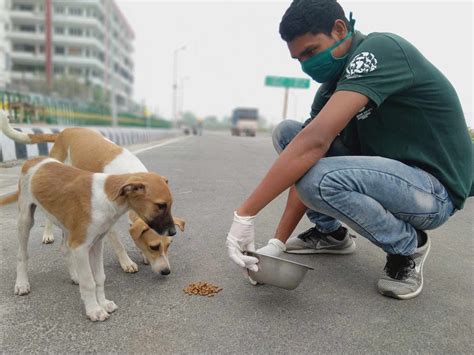 Animal Rescue Has Helped 1 Million Street Dogs Worldwide