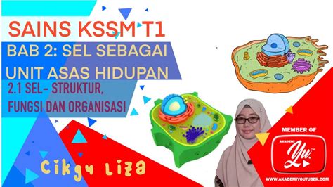 Sel Haiwan Dan Sel Tumbuhan Tingkatan 1 Sel Haiwan Dan Sel Tumbuhan