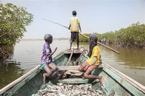 Guida E Consigli Per Viaggiare In Senegal Fai Da Te Pimpmytrip It