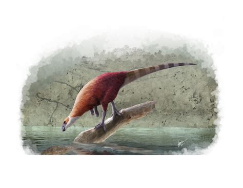 parksosaurus bild gabriel ugueto lunds universitet