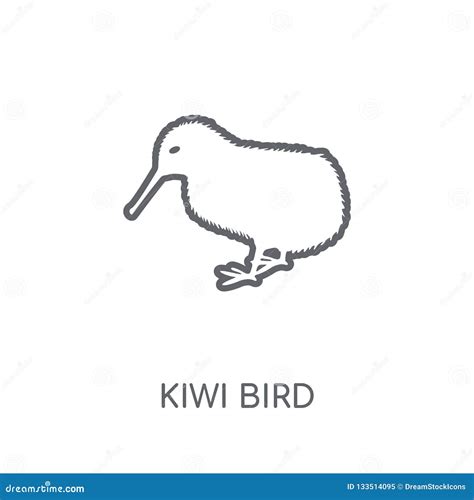 Kiwi Bird Linear Icon Modern Outline Kiwi Bird Logo Concept On Stock