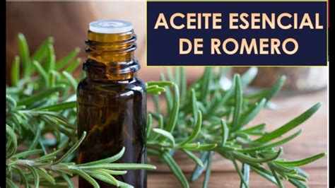 Descubre los increíbles beneficios del aceite esencial de romero para