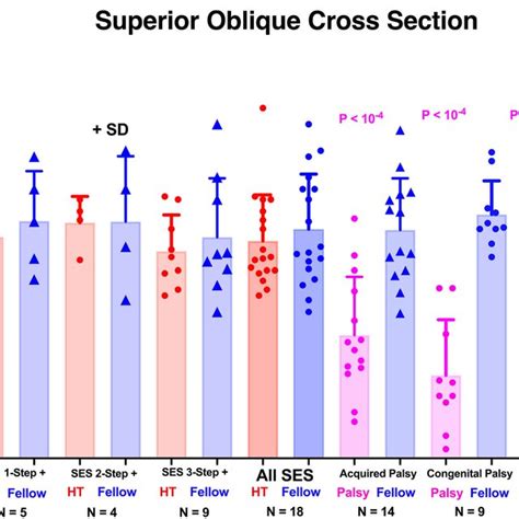 Maximum Cross Sectional Area Of So Muscle In The Ht And Fellow Orbits