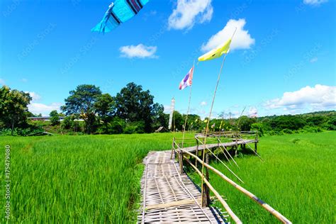 Beautiful Rural Bamboo Bridge Across The Rice Paddy Fields With Blue