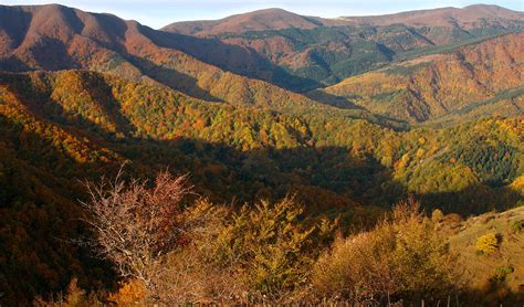 Parco Nazionale Foreste Casentinesi