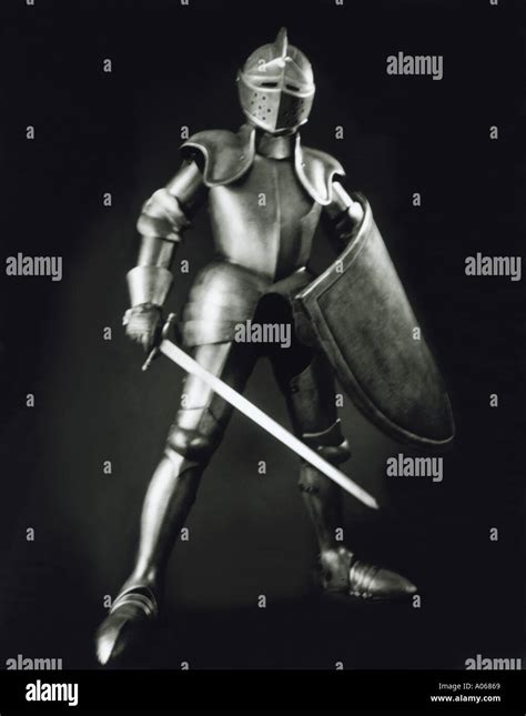 Knight In Shining Armor Costume