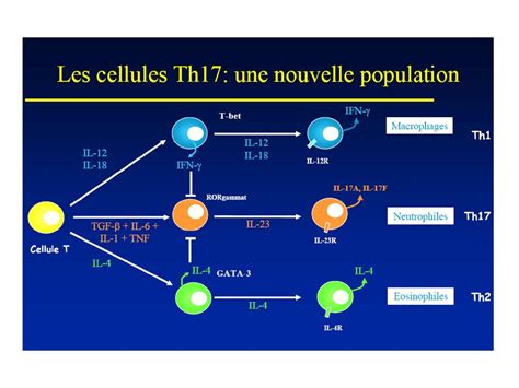 Cytokines inflammatoires ppt télécharger