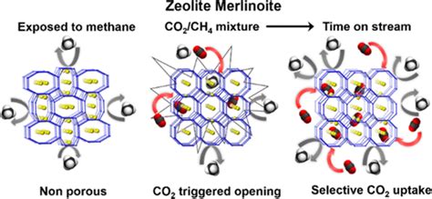 在 Merlinoite 沸石选择性吸附 Co2 过程中触发的门打开和呼吸效应journal Of The American