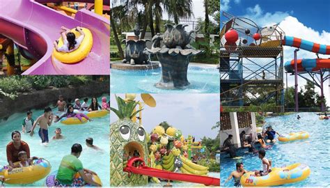 12 Daya Tarik Water Kingdom Mekarsari Waterpark Terbesar Se Asia Tenggara