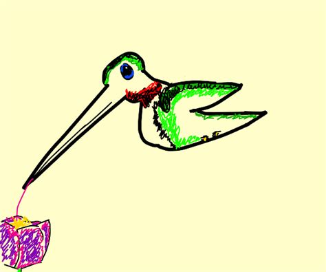 Fat hummingbird - Drawception