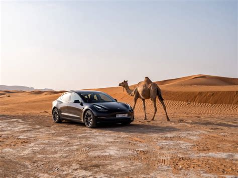 What Are Tesla Insurance Rates in 2023? - EV Universe