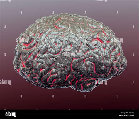 A Human Brain Floats In The Air As A Technical Illustration To Show Its