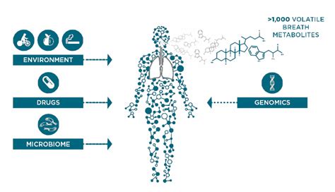 Breath Biopsy A Non Invasive Tool For The Early Detection Of Disease