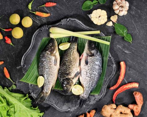 5 Jenis Ikan Tawar Yang Paling Banyak Dikonsumsi