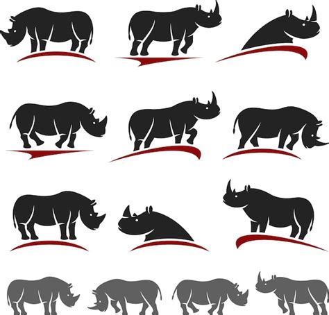 Premium Vector Rhinoceros Set Vector