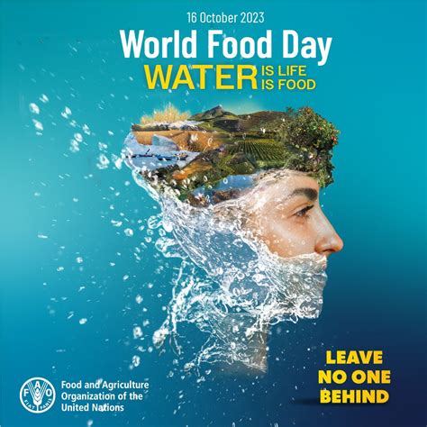 United Nations Water On Linkedin Wateraction Worldfoodday