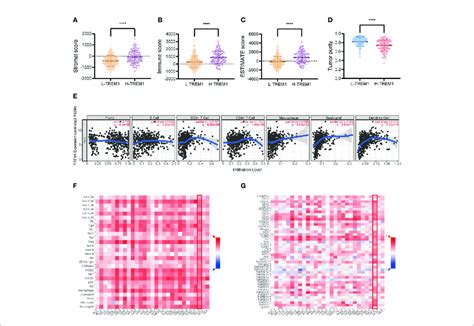 TREM 1 Is Closely Related To Immunity In PTC ESTIMATE Analysis Of