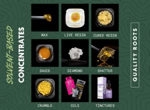 What Are Cannabis Concentrates Oils And Extracts Quality Roots