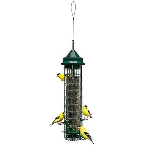 12 Best Squirrel Proof Bird Feeders 2023 | Pest Control Gurus