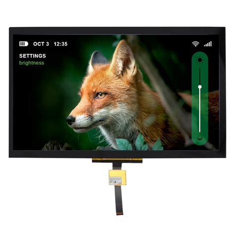 101 Inch Ips Capacitive Tft Lcd With Lvds Interface