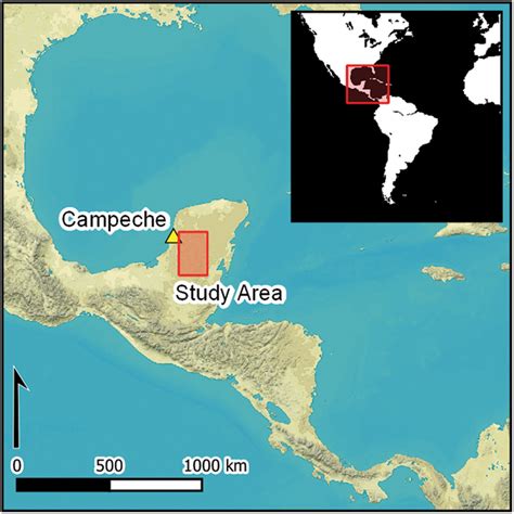 Lost Maya City Discovered Deep Inside Mexican Jungle