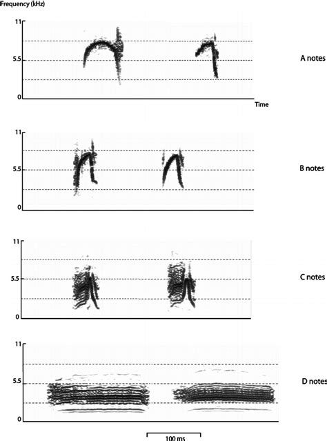 Sound Spectrograms Of The Four Different Note Types Found In Download Scientific Diagram