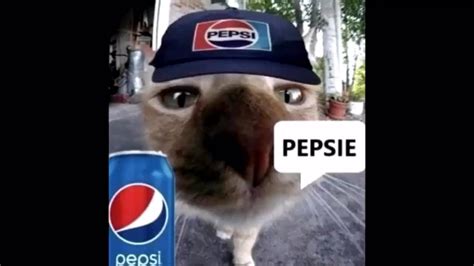 Funny Cats Saying Soda Names Youtube