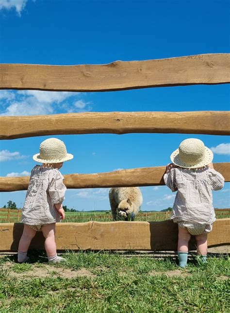 Zwierz Ta Zagroda Kociewska Rodzinny Park Rozrywki