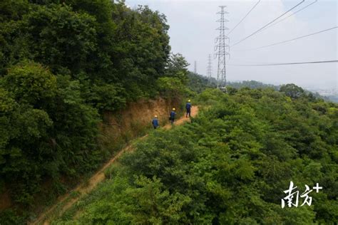 图集防御“马鞍”，东莞供电局启动防风防汛Ⅲ级应急响应 房产资讯 房天下