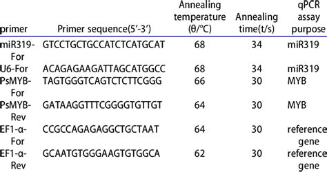 Primers Used In Qrt Pcr Assays Download Scientific Diagram