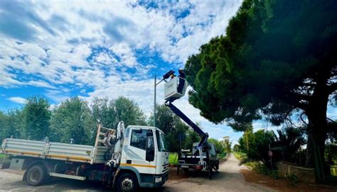 Ladispoli Continuano Gli Interventi Sullilluminazione Stradale Nelle