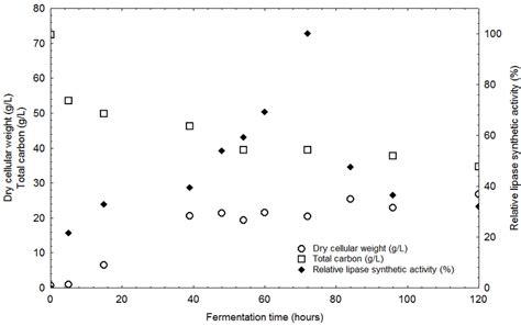 Time Course Of Synthetic Lipase Production Carbon Consumption And Download Scientific