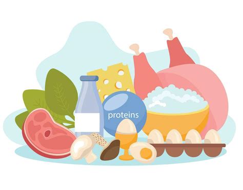 Protein Containing Food Composition 25803233 Vector Art at Vecteezy