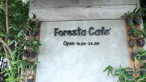 ราน FORESTA CAFE ดอนเมอง YouTube