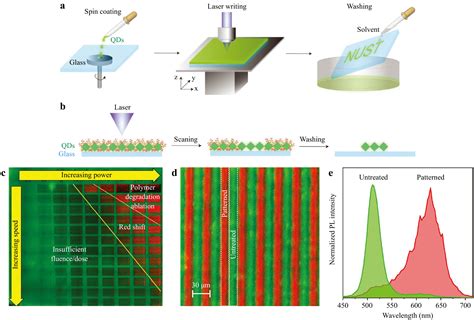 Direct Laser Writing On Halide Perovskites From Mechanisms To Applications