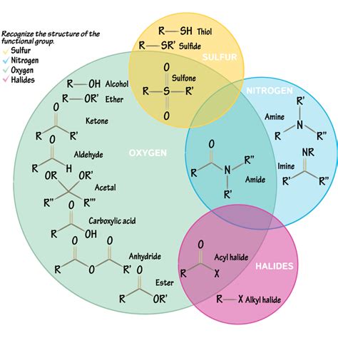 Heteroatom Functional Groups - Biochemistry Flashcards | ditki medical ...