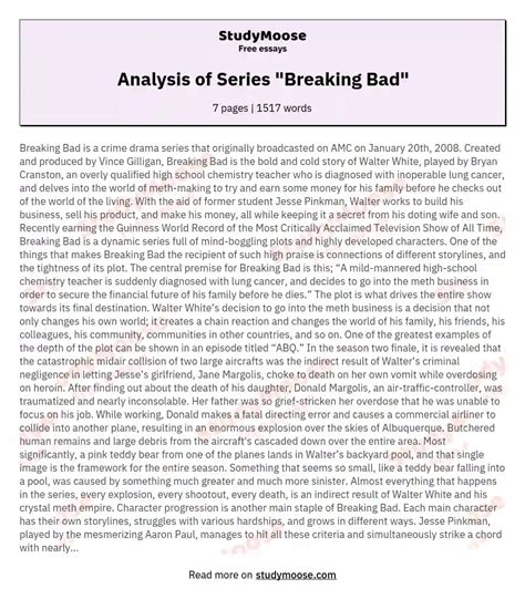 Analysis Of Series Breaking Bad Free Essay Example