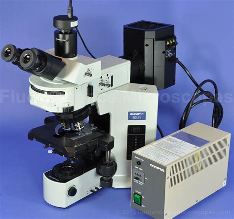 Fluorescence Microscopes Olympus Bx51 Fluorescence Microscope