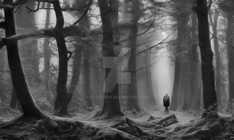 Lonely in the forest by lp-artSRO on DeviantArt