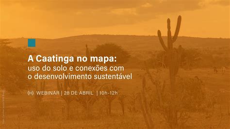 A Caatinga no mapa uso do solo e conexões o desenvolvimento